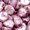 Luster Coating